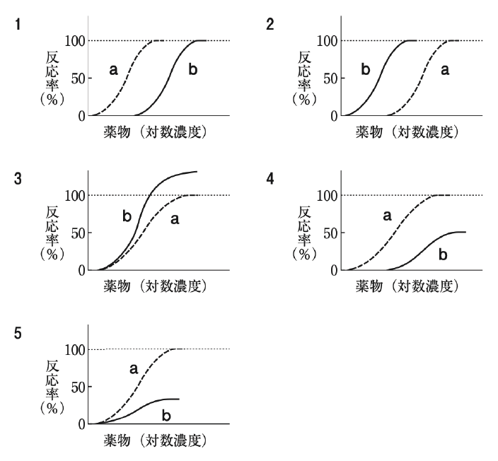 解説画像